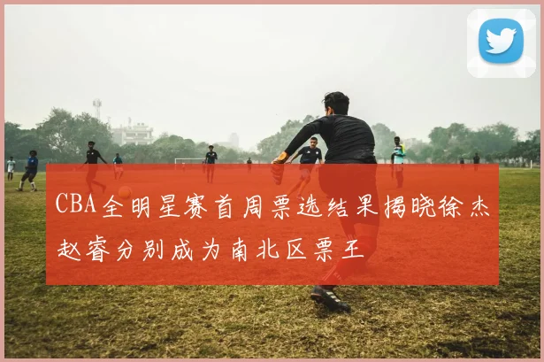 CBA全明星赛首周票选结果揭晓徐杰赵睿分别成为南北区票王